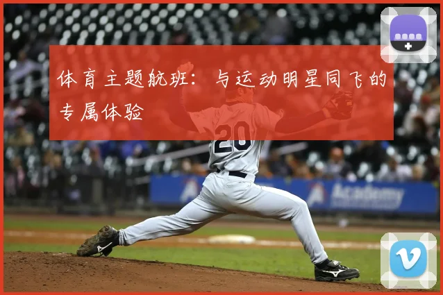 体育主题航班：与运动明星同飞的专属体验
